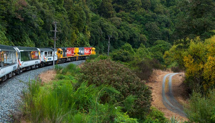 Von Auckland nach Hamilton mit dem Zug